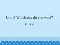 湖南少年儿童出版社小学英语三年级起点五年级上册 Unit 6 Which one do you want   课件6