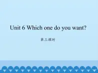 湖南少年儿童出版社小学英语三年级起点五年级上册 Unit 6 Which one do you want   课件7