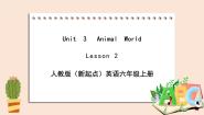 小学英语人教版 (新起点)六年级上册Unit 3 Animal WorldLesson 2完美版课件ppt
