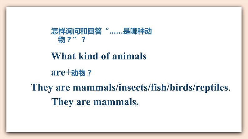人教版新起点英语六年级上册Unit 3 Lesson 2 课件+教案+练习(无音频)05
