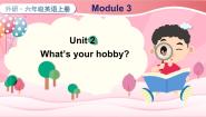 外研版 (三年级起点)六年级上册Module 3Unit 2 What’s your hobby?教课内容ppt课件
