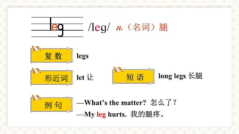 Unit 3 Our animal friends 单元单词讲解 (课件+素材)译林版(三起)英语五年级上册05