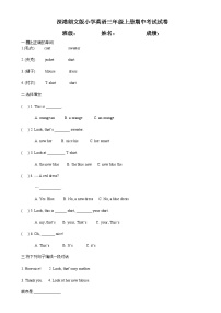 深港朗文版小学英语三年级上册期中模拟卷3