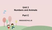 小学英语闽教版四年级上册Unit 3 Numbers and Animals Part C精品ppt课件
