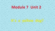 外研版 (一年级起点)一年级上册Module 7Unit 2 It's a yellow cat课前预习课件ppt