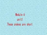 外研版（一年级起点）小学一年级英语下册 Module 6  Unit 1 These snakes are short.  课件7