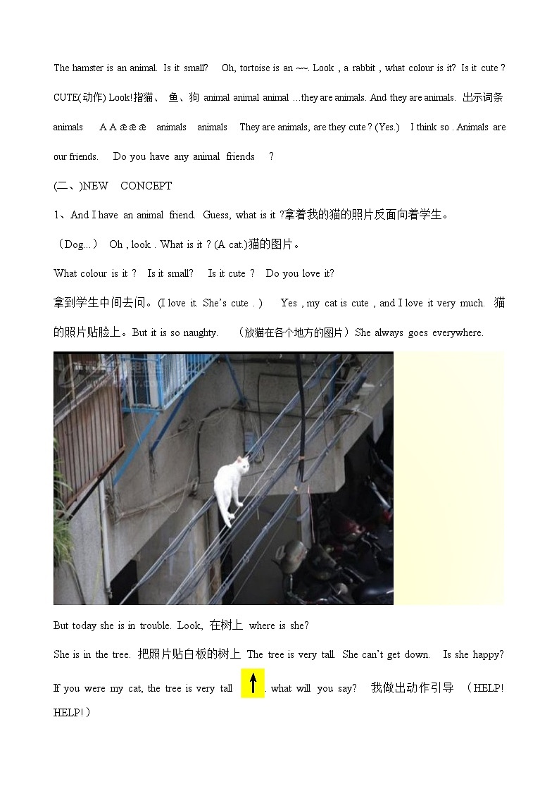 外研版(一年级起点)小学一年级英语下册 Module 7 Unit 1 There is a cat in the tree. 教案2第3页