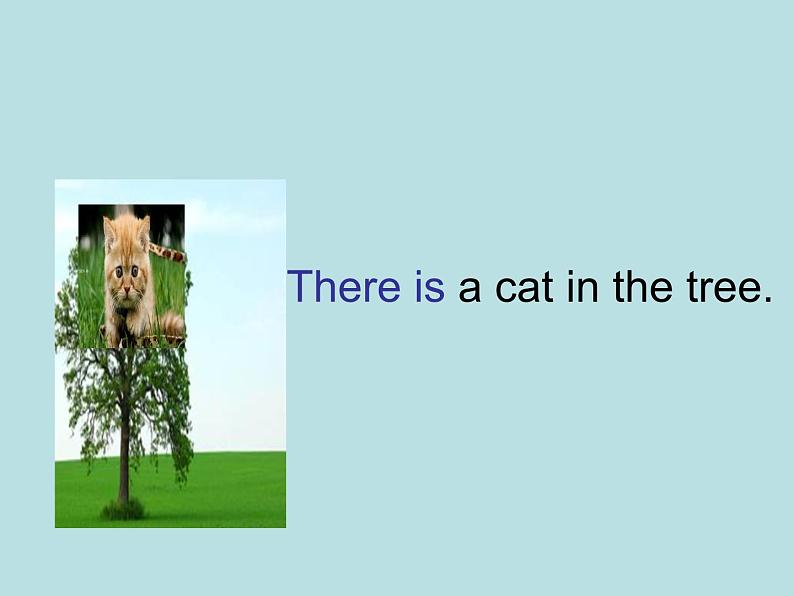 外研版(一年级起点)小学一年级英语下册 Module 7 Unit 1 There is a cat in the tree. 课件701