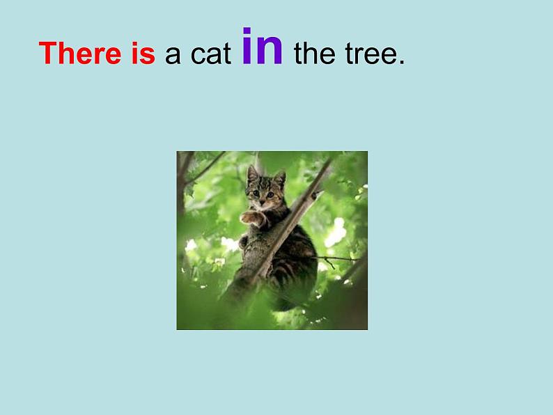 外研版(一年级起点)小学一年级英语下册 Module 7 Unit 1 There is a cat in the tree. 课件706