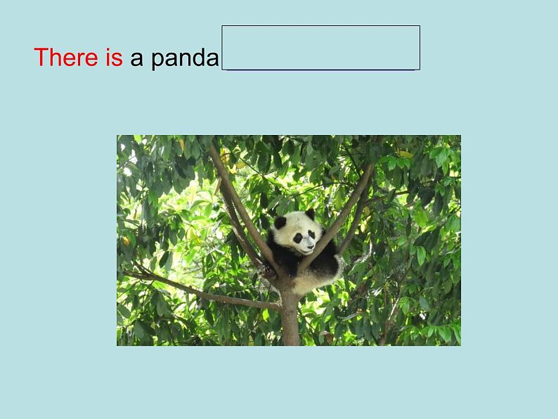 外研版(一年级起点)小学一年级英语下册 Module 7 Unit 1 There is a cat in the tree. 课件707