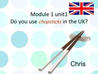 外研版（一年级起点）小学三年级英语上册 Module 1  Unit 1  Do you use chopsticks in the UK   课件2