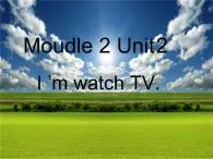 外研版（一年级起点）小学三年级英语上册 Module 2  Unit 2  I ’m watch TV.   课件