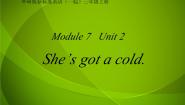 外研版 (一年级起点)三年级上册Unit 2 She’s got a cold.教课课件ppt