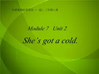 外研版（一年级起点）小学三年级英语上册 Module 7 Unit 2 She's got a cold.   课件