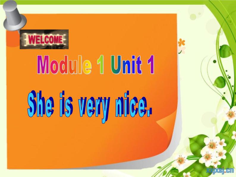 外研版（一年级起点）小学三年级英语下册 Module 1 Unit 1 She's very nice.   课件501