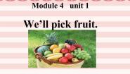 小学英语Unit 1 We'll pick fruit.课堂教学ppt课件