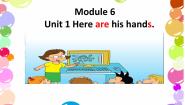 外研版 (一年级起点)三年级下册Module 6Unit 1 Here are his hands.教学ppt课件