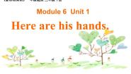 小学英语外研版 (一年级起点)三年级下册Unit 1 Here are his hands.说课ppt课件