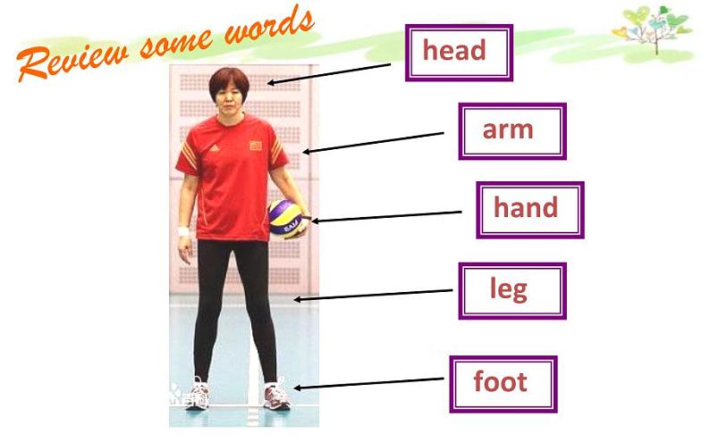 外研版(一年级起点)小学三年级英语下册 Module 6 Unit 1 Here are his hands. 课件403