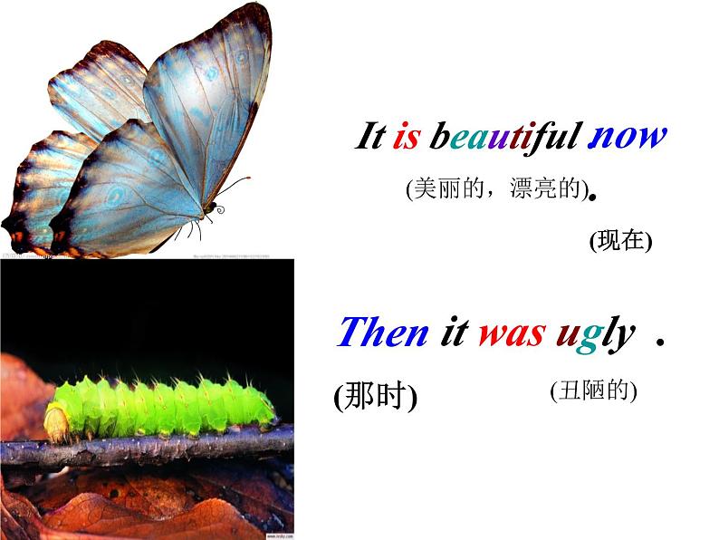 外研版(一年级起点)小学三年级英语下册 Module 9 Unit 1 They were very young. 课件306