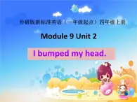 外研版（一年级起点）小学四年级英语上册 Module 9 Unit 2 I bumped my head.  课件2