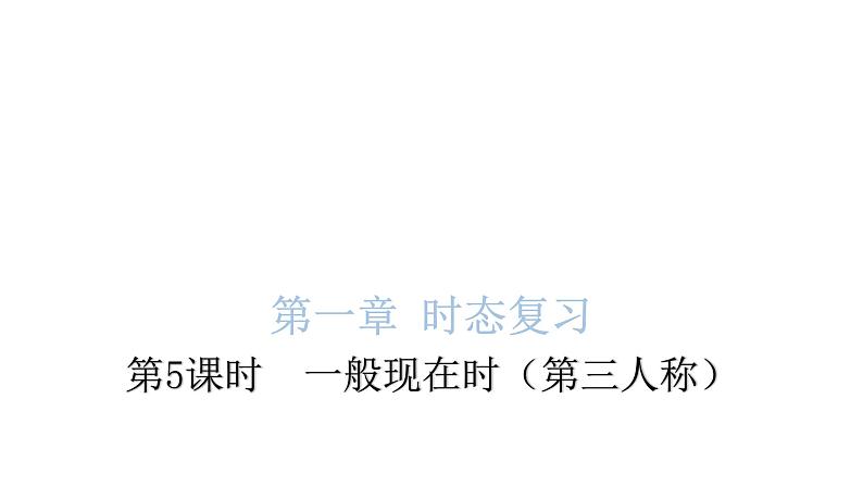 小学毕业英语总复习第一章时态复习第5课时一般现在时(第三人称)教学课件第1页