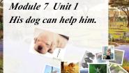 小学英语外研版 (一年级起点)五年级上册Unit 1 This dog can help him背景图ppt课件