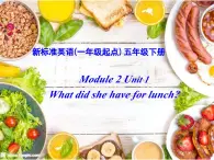 外研版（一年级起点）小学五年级英语下册Module 2 Unit 1 What did she have for lunch？  课件8