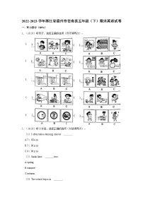 2022-2023学年浙江省温州市苍南县五年级下学期期末英语试卷（含解析）