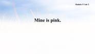 小学英语外研版 (一年级起点)五年级下册Unit 2 Mine is pink.课堂教学ppt课件