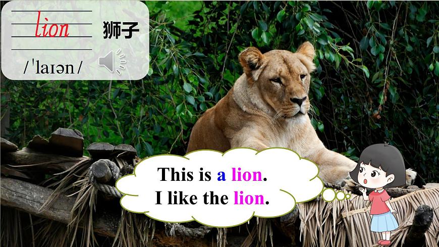 湘少版英語三年級上冊第一課時（Part A, Part B）課件第5頁