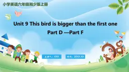 Unit 9 This bird is bigger than the first one PartD-PartF（课件）湘少版（三起）英语六年级上册