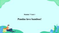 外研版 (一年级起点)六年级上册Unit 1 Pandas love bamboo.获奖ppt课件