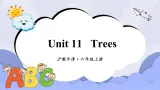 沪教版英语六年级上册 Unit 11 Trees 课件+素材