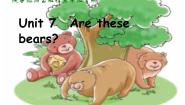 陕旅版三年级上册Unit 7 Are these bears?课文内容课件ppt