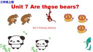 小学英语陕旅版三年级上册Unit 7 Are these bears?示范课课件ppt