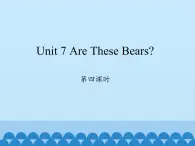 陕旅版（三年级起）小学三年级英语上册 Unit 7 Are These Bears   课件5