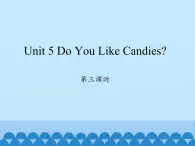 陕旅版（三年级起）小学三年级英语下册 Unit 5 Do You Like Candies    课件1