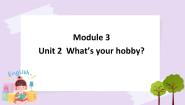 小学英语外研版 (三年级起点)六年级上册Unit 2 What’s your hobby?公开课ppt课件