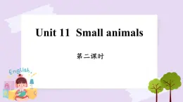 Module 4 Unit 11  Small animals  Period 2 课件