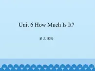 陜旅版（三年級起）小學五年級英語上冊 Unit 6 How Much Is It   課件2