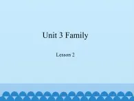 鲁科版（五四制）小学三年级英语上册  Unit 3 Family  Lesson 2   课件