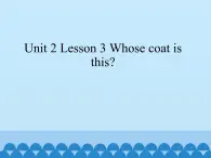 鲁科版（五四制）小学三年级英语下册 Unit 2 Clothes  Lesson 3   课件