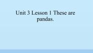 三年级下册Lesson 1 These are pandas.说课ppt课件