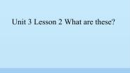 英语Unit 3 AnimalsLesson 2 What are these?教学演示课件ppt
