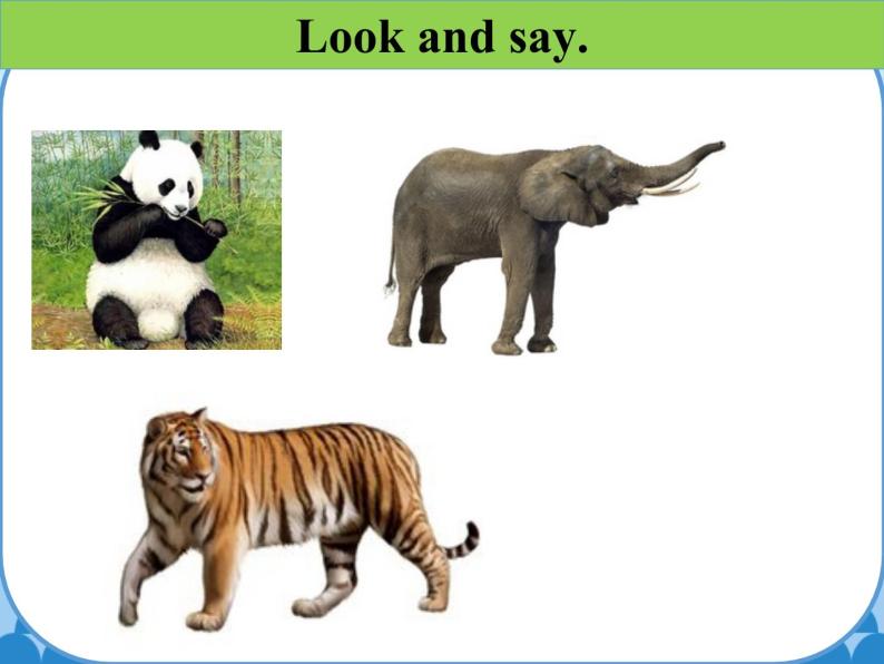 鲁科版（五四制）小学三年级英语下册 Unit 3 Animals  Lesson 2   课件04