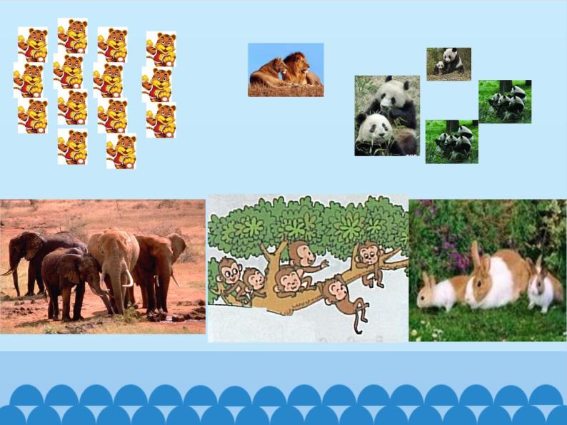 鲁科版（五四制）小学三年级英语下册 Unit 3 Animals  Lesson 4   课件04