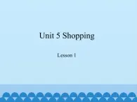 鲁科版（五四制）小学四年级英语下册 Unit 5 Shopping  Lesson 1   课件