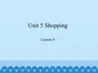 鲁科版（五四制）小学四年级英语下册 Unit 5 Shopping  Lesson 4   课件