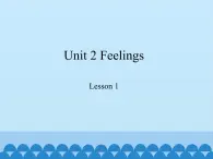 鲁科版（五四制）小学五年级英语上册 Unit 2 Feelings  Lesson 1     课件